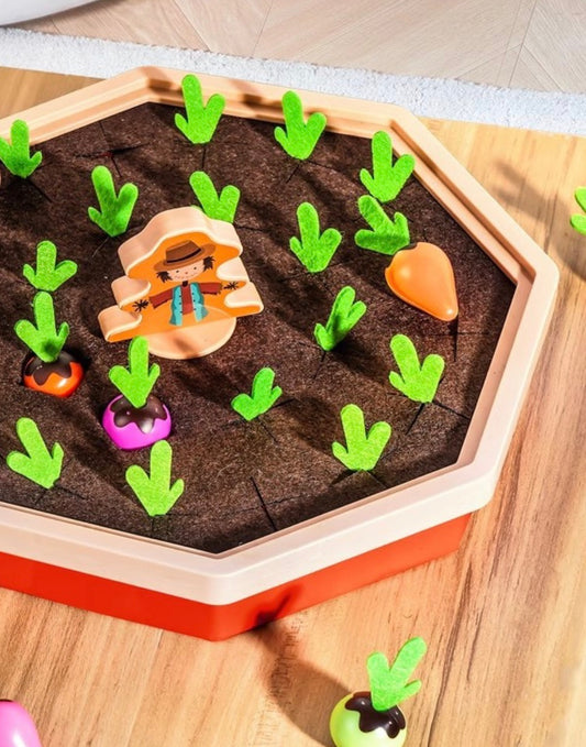 Vegetable Garden